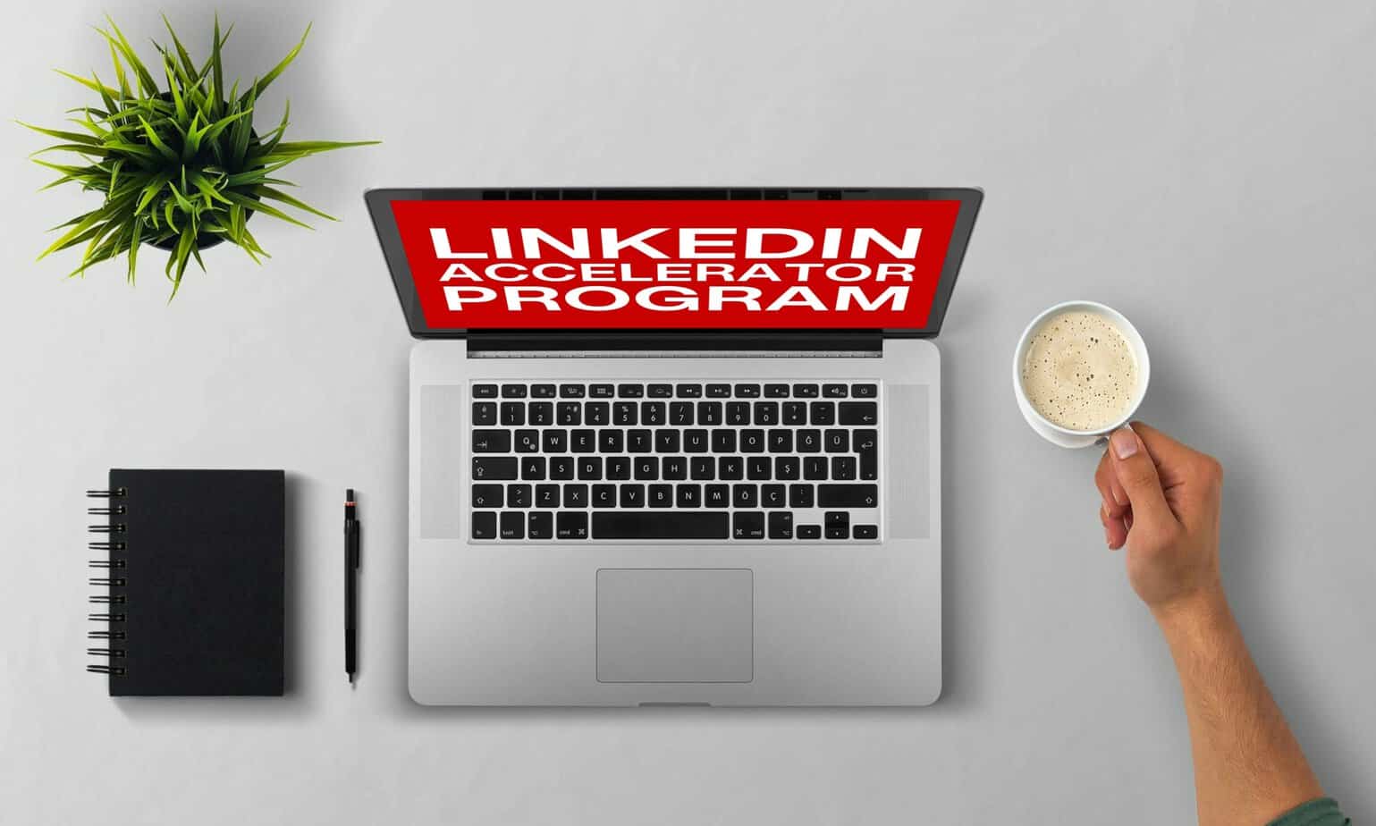 Tim Queen LinkedIn Accelerator Program Mockup 11